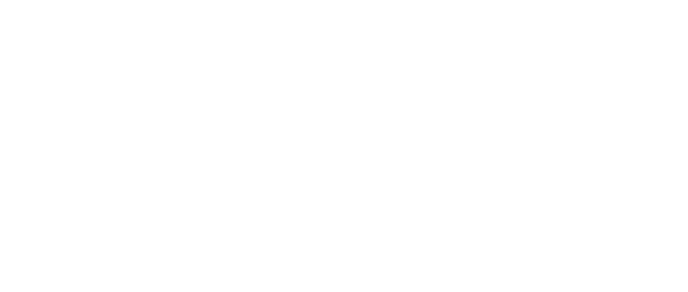 Google Partner