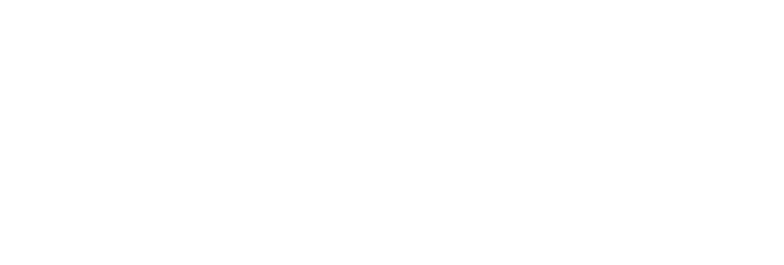 Meta Business Partner
