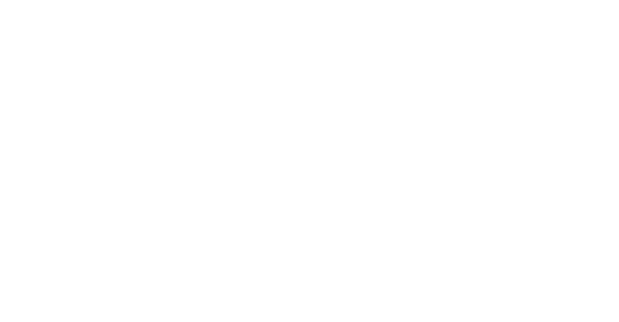 TikTok Marketing Partner